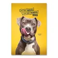 Következő termékkép Pets 2025 iskolai füzet - A4, vonalazott, 40 lap, vegyes motívumok