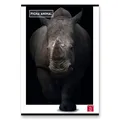 Következő termékkép Iskolai füzet Pigna Animal A4-es, vonalas, 40 lapos, motívumkeverék