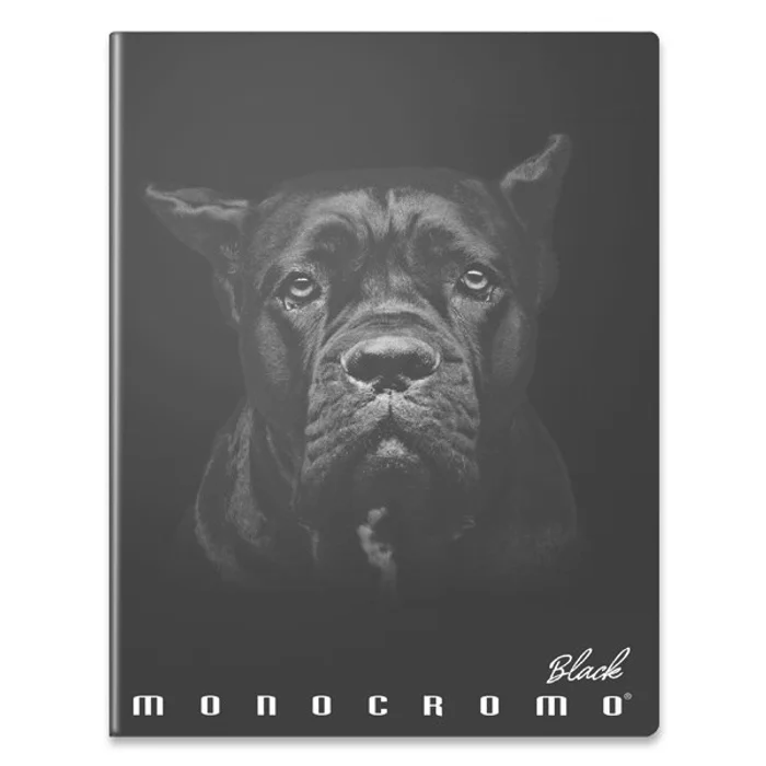 Termék főképe Školní sešit Pigna Monocromo Black A4, čistý, 40 listů, mix motivů