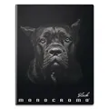 Iskolai füzet Pigna Monocromo Black A4, vonalas, 40 lapos, motívumkeverék