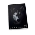 Iskolai füzet Pigna Monocromo Black A5, vonalas, motívumkeverék