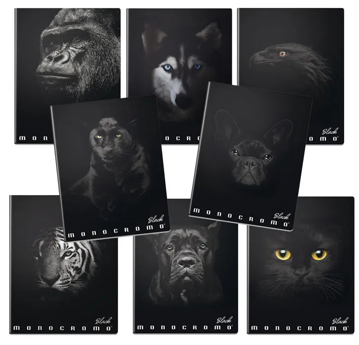 Termék főképe Školní sešit Pigna Monocromo Black A4, linkovaný, 40 listů, mix motivů
