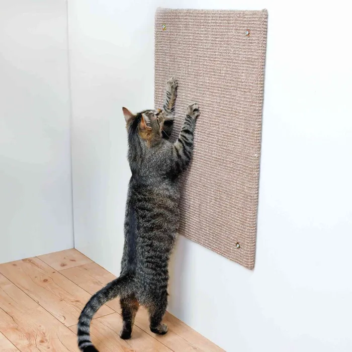 Termék főképe Škrábací deska XL 50 x 70 cm hnědá