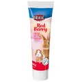 Következő termékkép Maláta paszta rágcsálóknak Red Berry - erdei gyümölcsökkel, 100g
