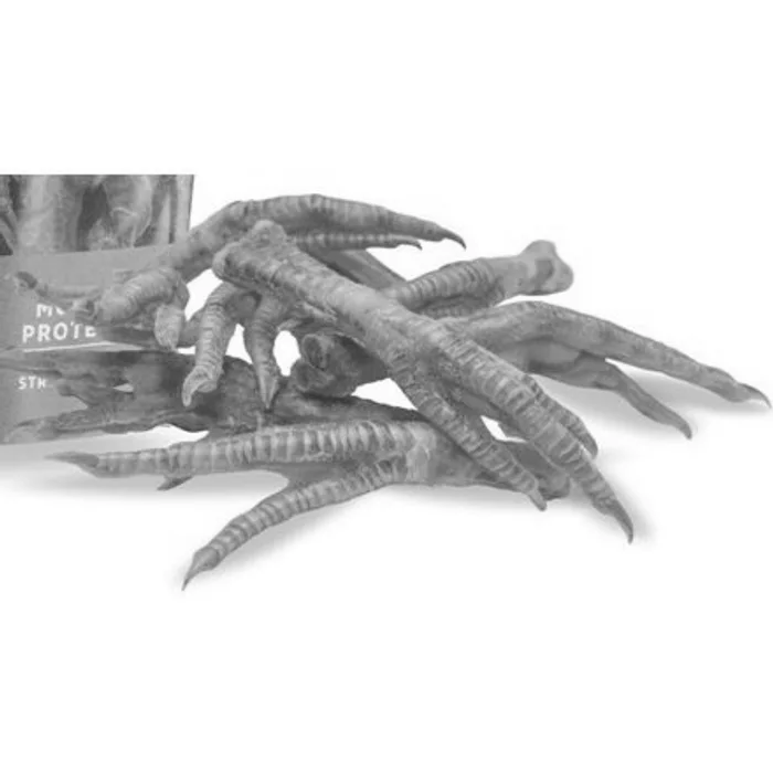 Termék főképe Slepičí pařát uzený 1 kg