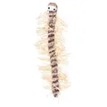 Százlábú játék macskáknak, plüss/basszus 33 cm
