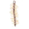 Százlábú játék macskáknak, plüss/basszus 33 cm