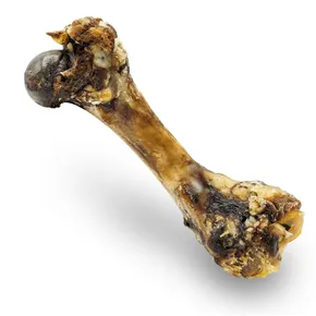 Szárított természetes sonkakő 20 cm / 280 g