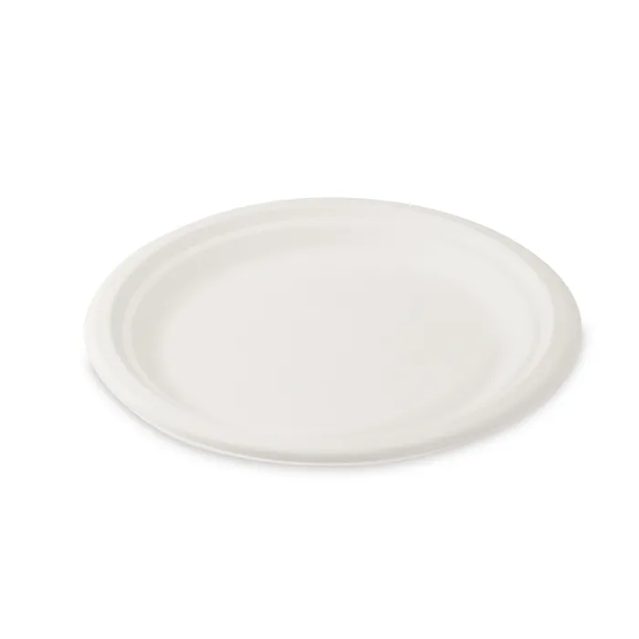 Termék főképe Talíř kulatý BIO cukrová třtina průměr 22 cm [10 ks]