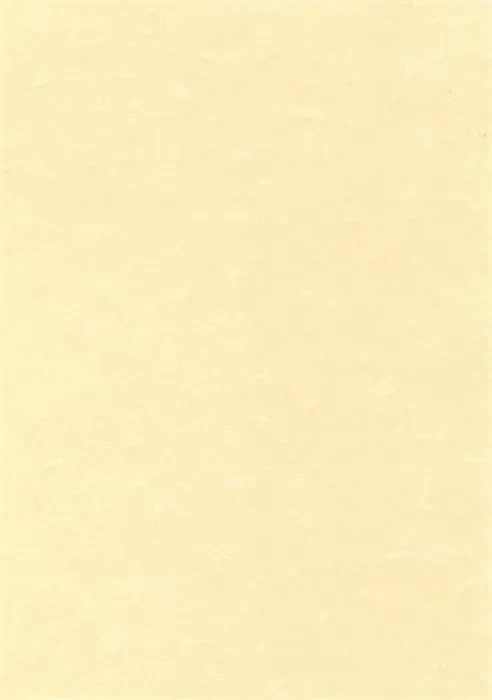 Termék főképe Texturovaný papír, pergamenový efekt, šampaň, A4, 95g, APLI [100 listů]