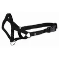 Következő termékkép TOP TRAINER edzőkötőfék L 31cm TRIXIE