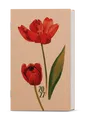 Hétnapos naptár - Alois - kraft - Tulipán