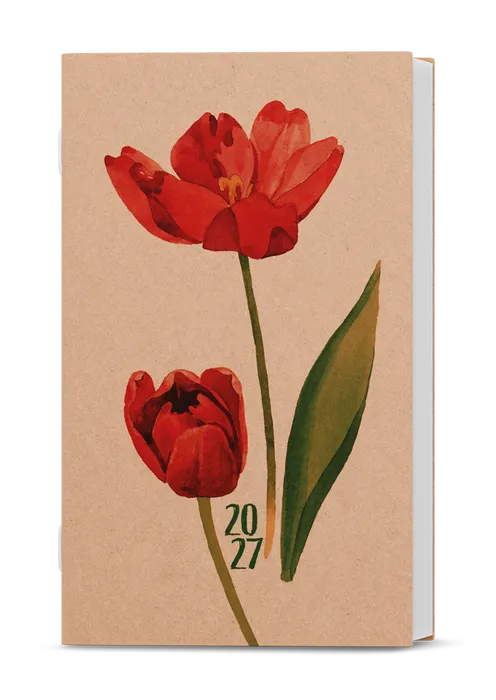 Termék főképe Týdenní diář - Alois - kraft - Tulipán