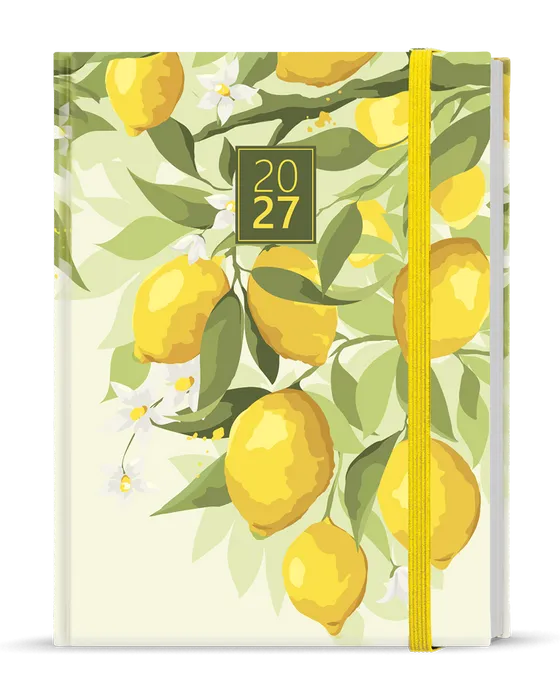 Termék főképe Týdenní diář - Prokop - Lamino - B6 - Citron