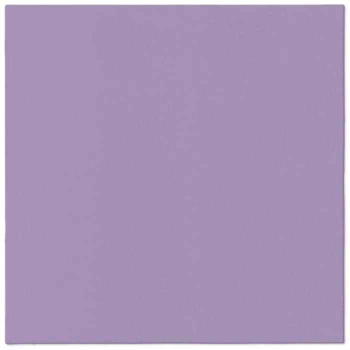 Termék főképe Ubrousky PAW AIRLAID 40x40 cm Monocolor Violet [50 ks]