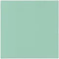 Szalvéták PAW AIRLAID L 40x40cm Monocolor (világos menta) [50 db]