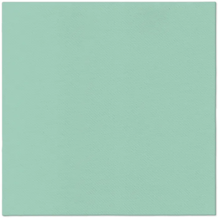 Termék főképe Ubrousky PAW AIRLAID L 40x40cm Monocolor (light mint) [50 ks]