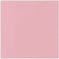 Szalvéták PAW AIRLAID L 40x40cm Monocolor (világos harmat) [50 db]
