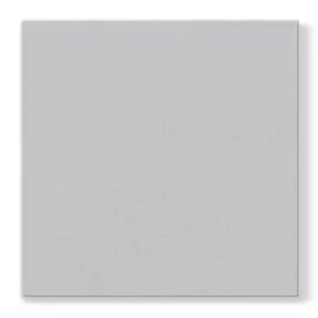Ubrousky PAW AIRLAID L 40x40cm Monocolor (silver) [50 ks]