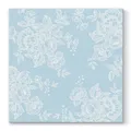 Következő termékkép Ubrousky  PAW AIRLAID L 40x40cm Soft Lace Light Blue