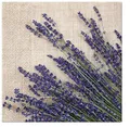 Szalvéta PAW L 33x33 cm 3 réteg Lavender Sheaf [20 db]