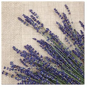 Szalvéta PAW L 33x33 cm 3 réteg Lavender Sheaf [20 db]