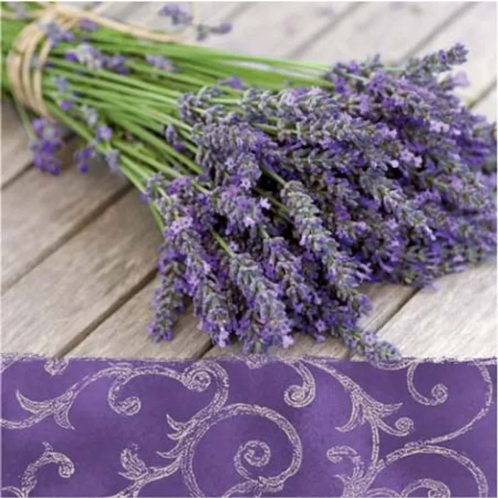 Termék főképe Ubrousky PAW L 33x33 cm Lavender in the Country