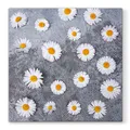 Következő termékkép Ubrousky PAW L 33x33cm Daisies Love