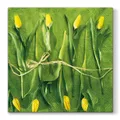 Következő termékkép Ubrousky PAW L 33x33cm Fresh Tulips