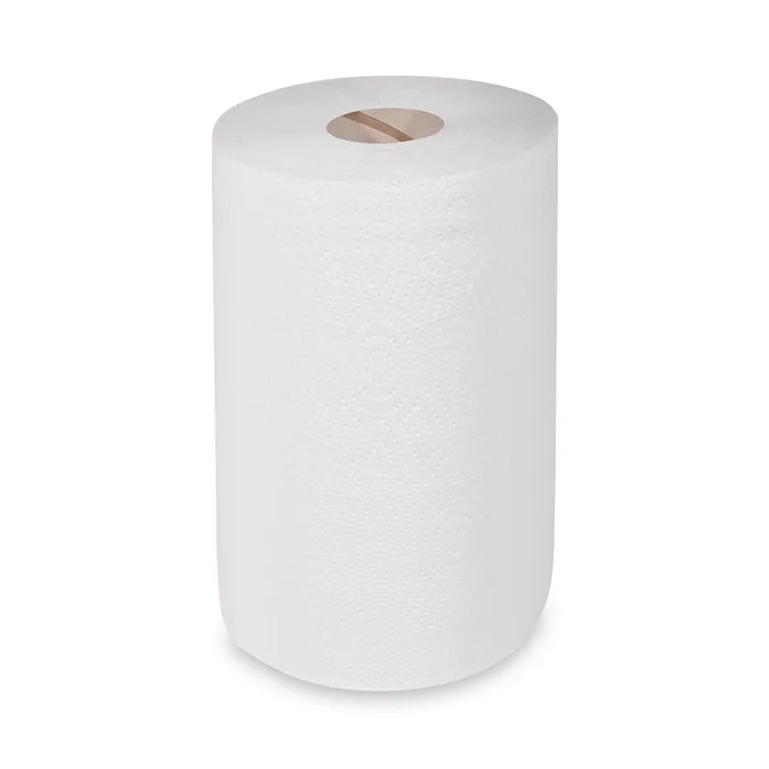 Termék főképe Utěrka 2vrstvá s ražbou bílá 19cm x 50m (průměr 13,5 cm) [1 ks]