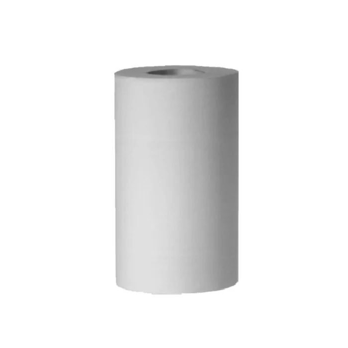 Termék főképe Utěrky rolované 2-vr. recykl 20cm x 55m (průměr 13cm) [1 ks]