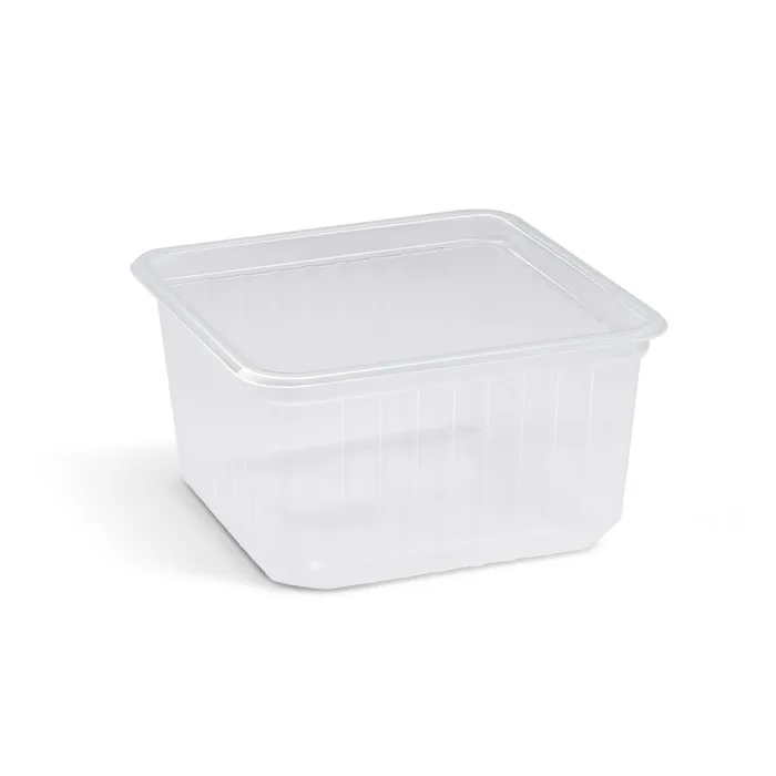 Termék főképe Vanička (PP) Quadroboxx průhledná 115 x 115 x 61 mm 500ml [50 ks]