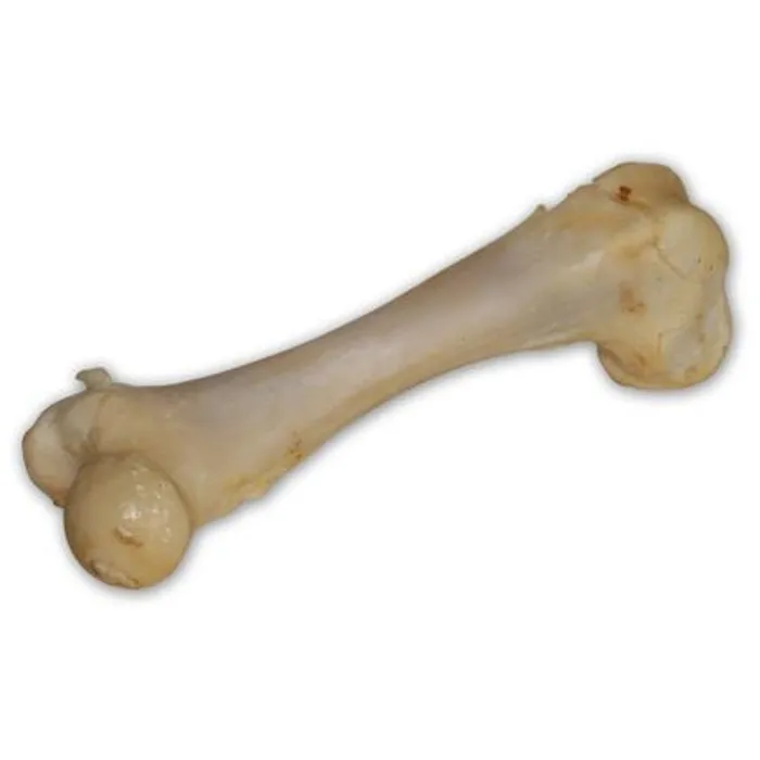 Termék főképe Vepřová kost bílá - extrudovaná 1 ks/17 cm