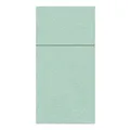 Következő termékkép Vrecká na príbory PAW AIRLAID 40x40 cm My monocolor light mint, 25 ks/bal