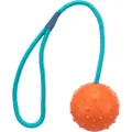 Következő termékkép Dobólabda csomós zsinóron 7cm/30cm - TRIXIE