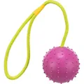 Következő termékkép Dobólabda csomós zsinóron 7cm/30cm - TRIXIE
