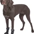 Következő termékkép Walker Active Long, védőcipő kutyáknak, 2 db, fekete M-L: kb 6-6,5 cm, pl. ausztrál ov