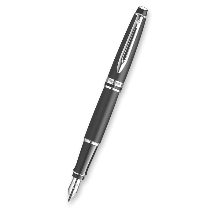 Termék főképe Waterman Expert Matt Black CT hrot M