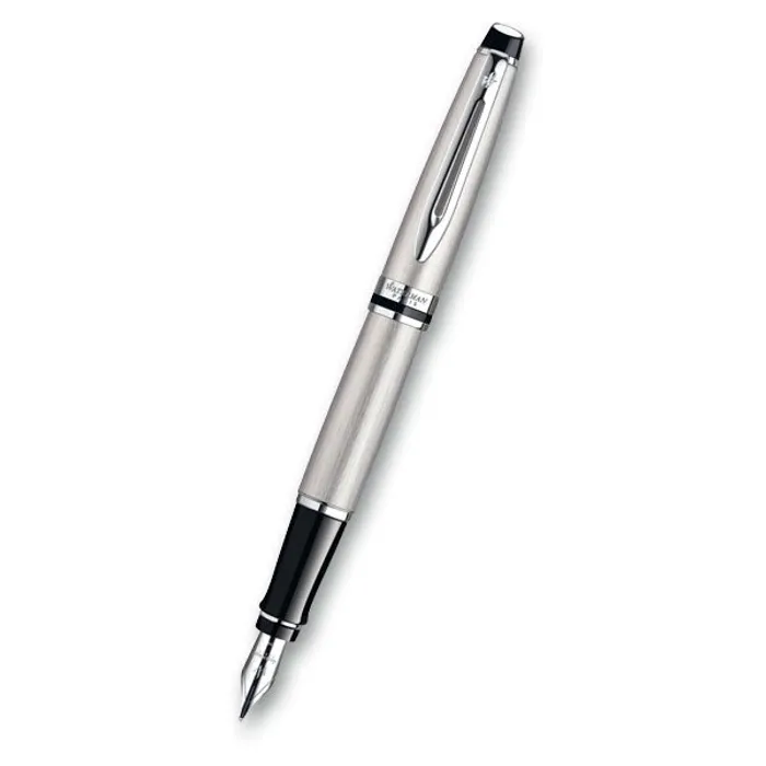 Termék főképe Waterman Expert Stainless Steel CT hrot M