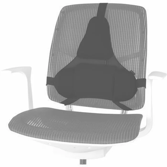 Termék főképe Zádová opěrka Profesional, opora beder, černá, plast, Fellowes