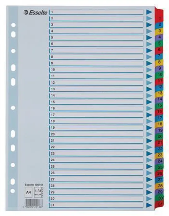 Termék főképe Zesílené kartonové rejstříky Esselte Mylar, A4, Mix barev