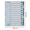 Megerősített karton regiszterek Esselte Mylar, A4, Színkeverék