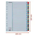 Megerősített karton regiszterek Esselte Mylar, A4, Színkeverék