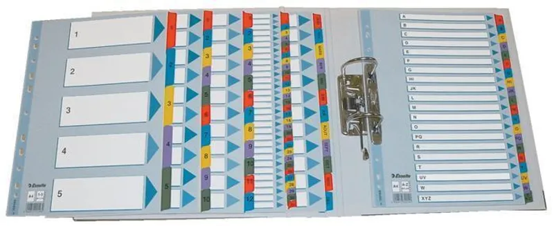 Termék főképe Zesílené kartonové rejstříky Esselte Mylar, A4, Mix barev