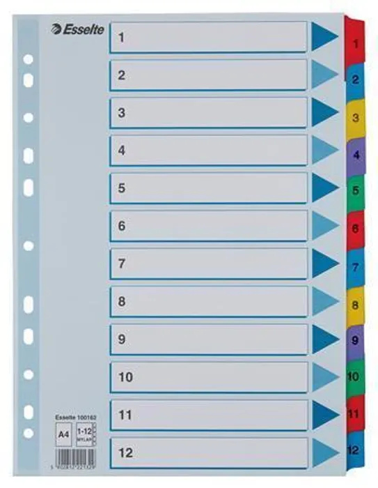 Termék főképe Zesílené kartonové rejstříky Esselte Mylar, A4, Mix barev