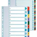 Következő termékkép Megerősített karton regiszterek Esselte Mylar, A4, Színkeverék