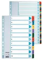 Megerősített karton regiszterek Esselte Mylar, A4, Színkeverék