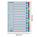 Következő termékkép Megerősített karton elválasztók Esselte Mylar, A4, Színkeverék