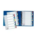 Következő termékkép Megerősített karton elválasztók Esselte Mylar, A4, Színkeverék