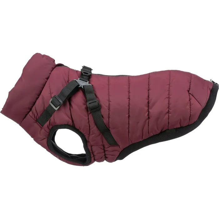 Termék főképe Zimní bunda PIROU s postrojem, sangriaS: 36cm, hruď: 50-54cm, krk: až 40cm